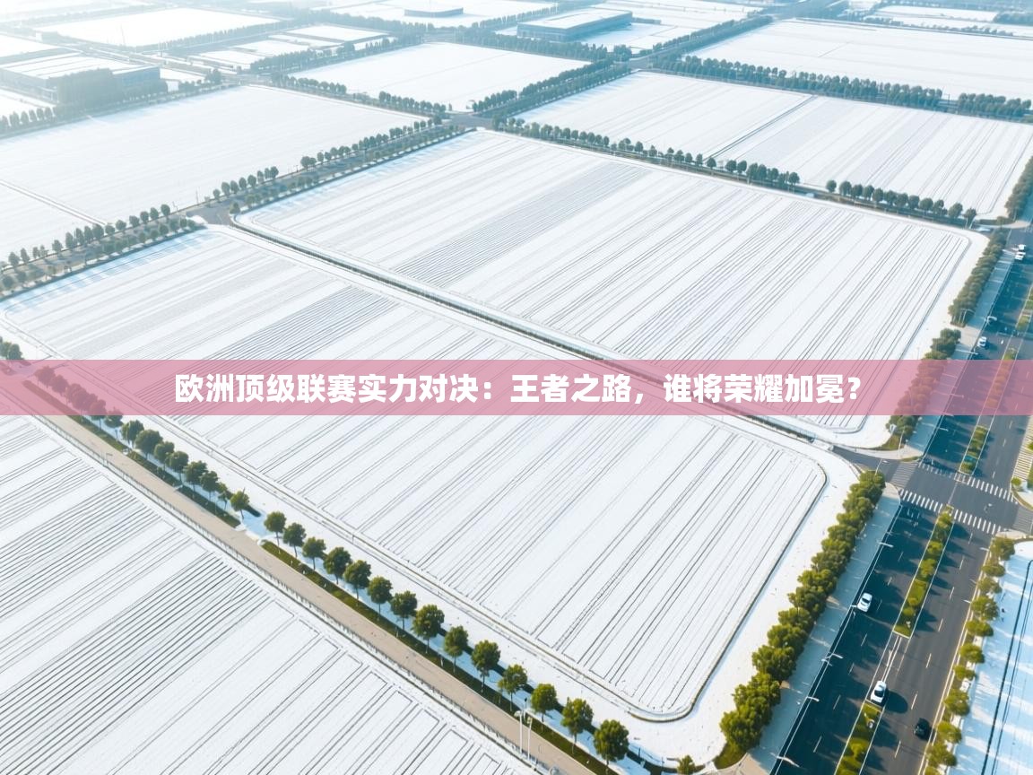 欧洲顶级联赛实力对决：王者之路，谁将荣耀加冕？  第2张