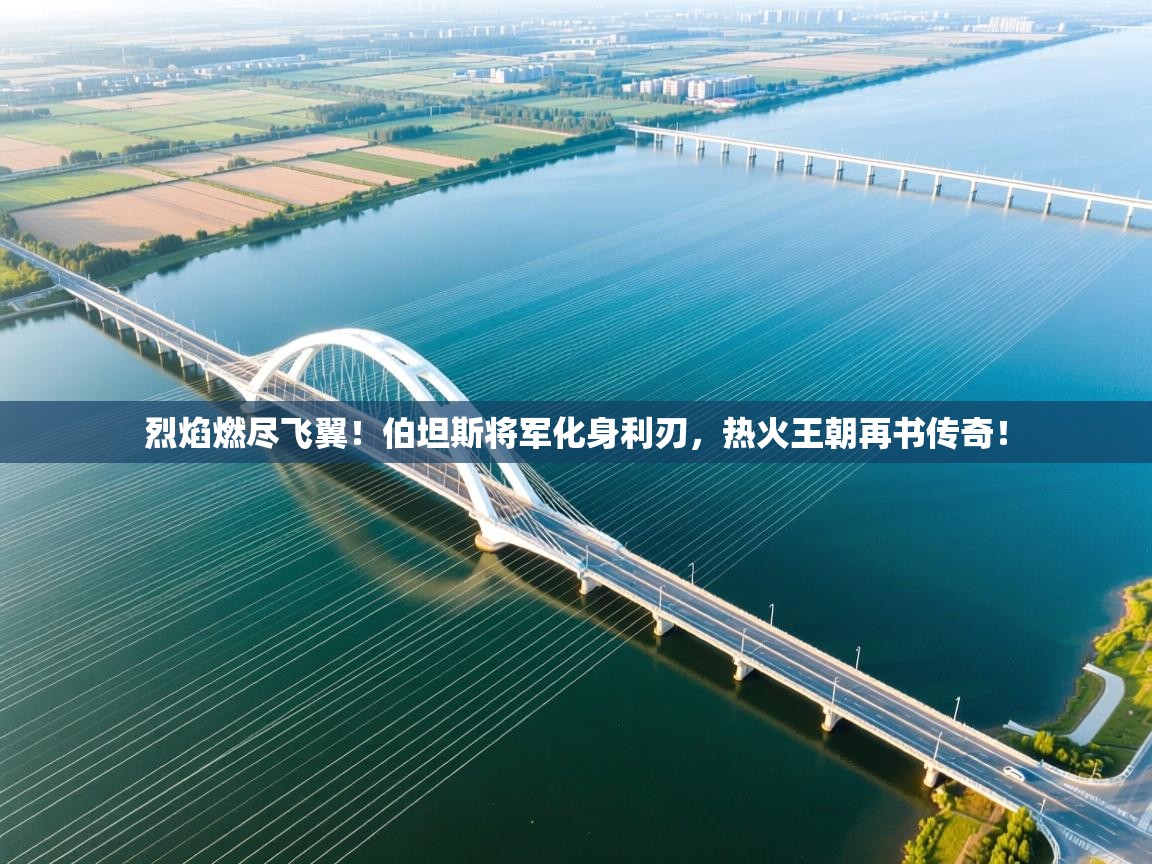 烈焰燃尽飞翼！伯坦斯将军化身利刃，热火王朝再书传奇！  第2张