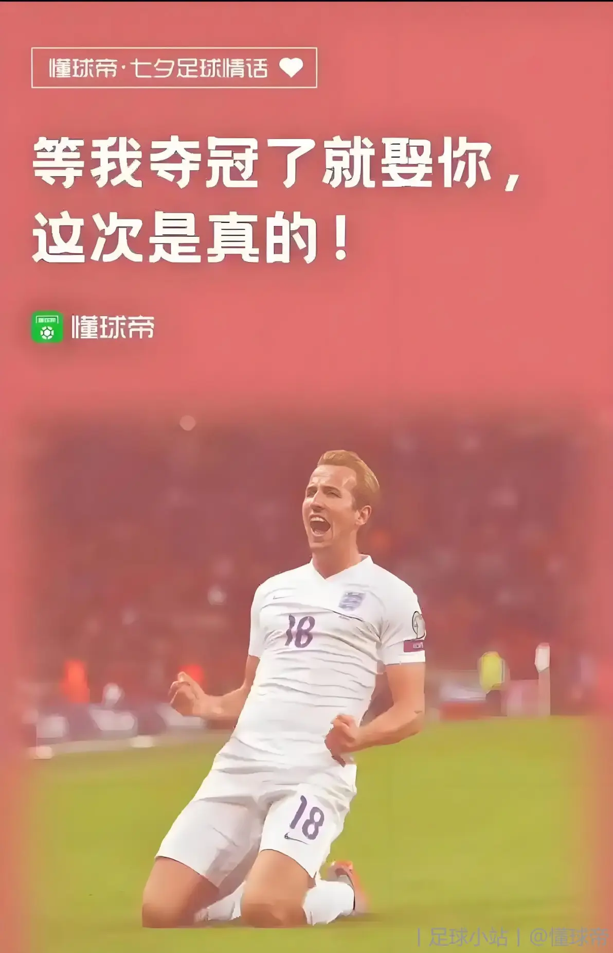 拜仁慕尼黑队员备受关注，表现出色的简单介绍