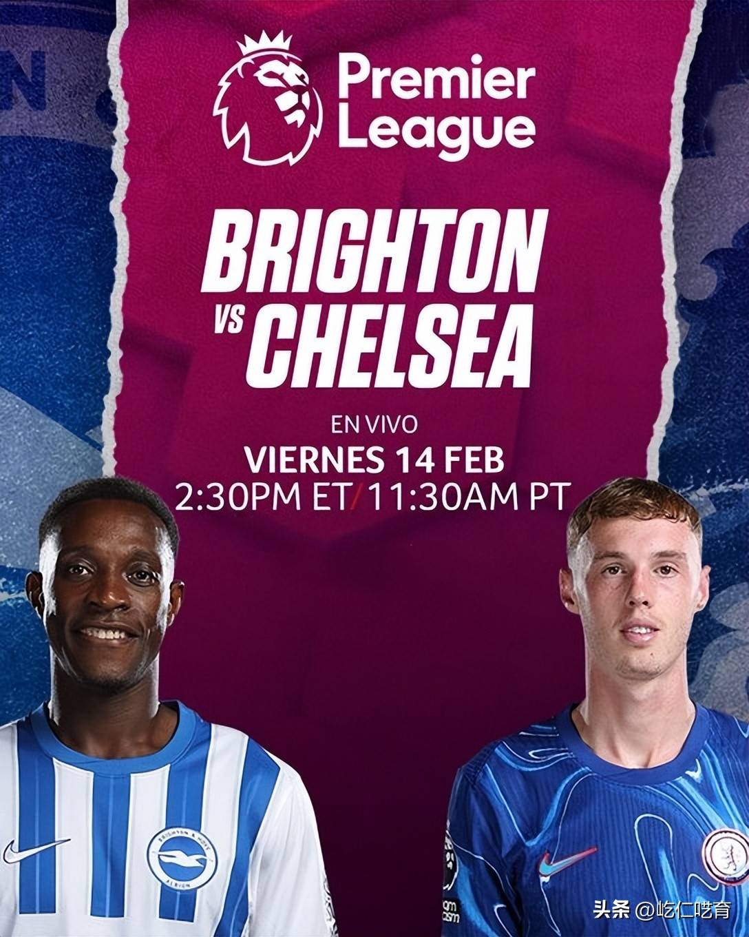 切尔西主场战平布莱顿，欧战希望渐行渐远