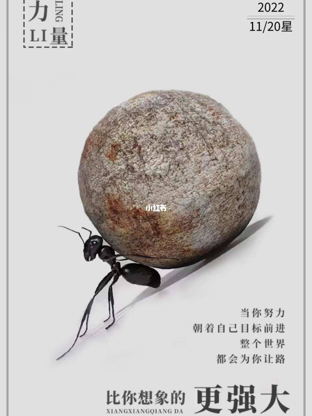 爱游戏app-巴西选手勤奋拼搏，朝着目标迈进的简单介绍